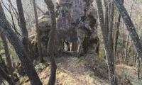 IMG_20210303_170734.jpg